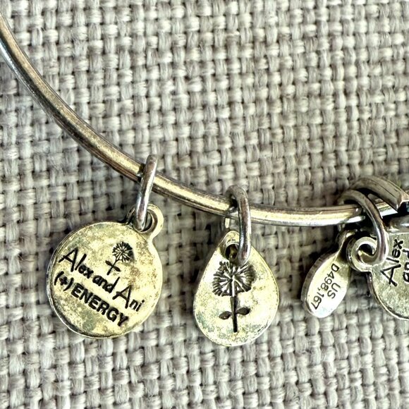 Alex and Ani Claddagh Silver Plated Copper Charm Bangle 2013 Energy Series - Picture 7 of 11